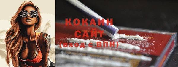 ПСИЛОЦИБИНОВЫЕ ГРИБЫ Новодвинск