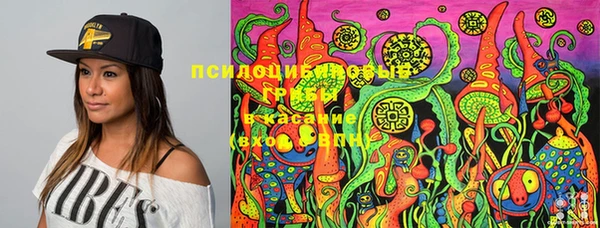альфа пвп Новозыбков