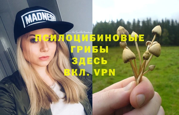 ПСИЛОЦИБИНОВЫЕ ГРИБЫ Новодвинск