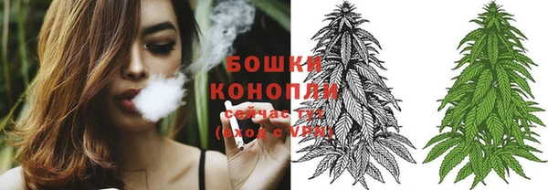 ПСИЛОЦИБИНОВЫЕ ГРИБЫ Новодвинск