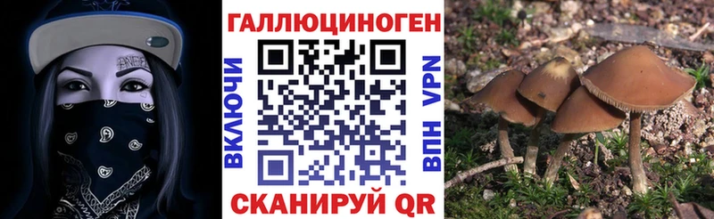 наркота  Сасово  Галлюциногенные грибы Magic Shrooms 